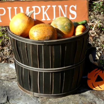 Host an Outdoor Fall Party that makes Kids and Adults Smile