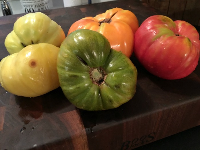 Heirloom Tomatoes and Burrata