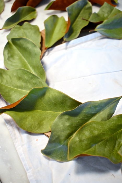 Magnolia Wreath