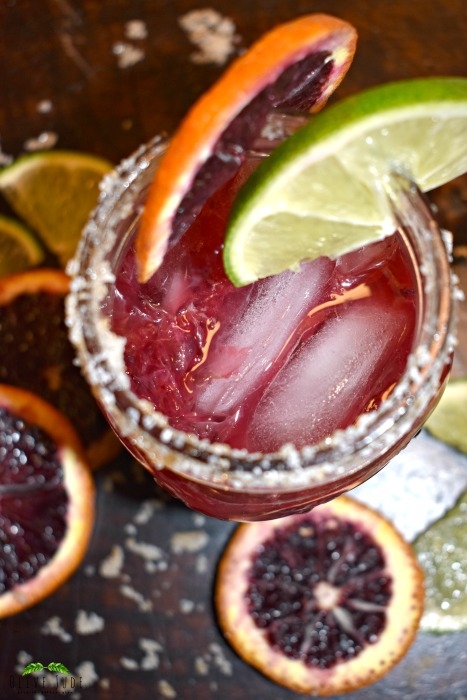 Blood Orange Solerno Margarita