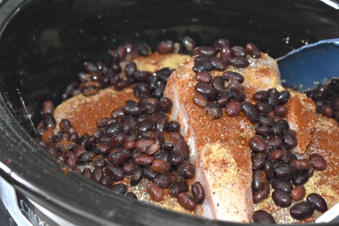 Crockpot Salsa Chicken