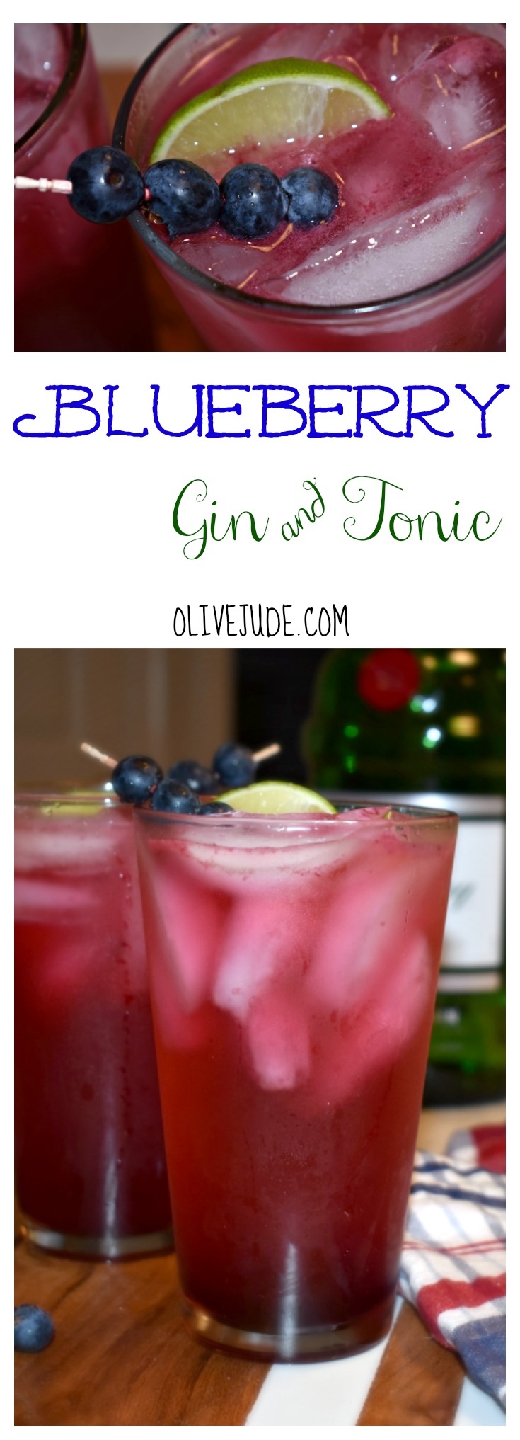 Blueberry Gin & Tonic