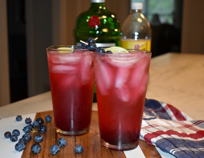 Blueberry Gin and Tonic Recipe - Easy gin and tonic ideas