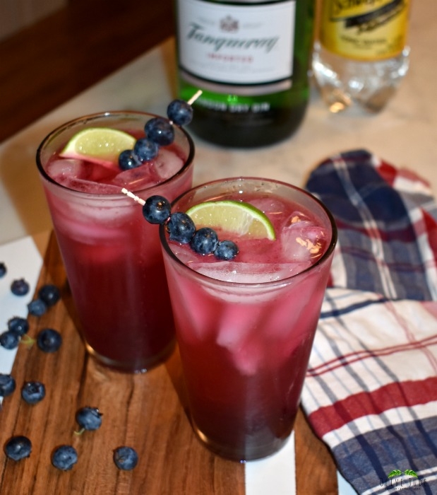 Blueberry Gin and Tonic