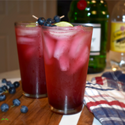 Blueberry Gin and Tonic