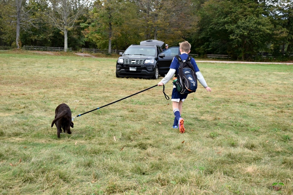 5 Puppy Must-Haves for a Fall Soccer Game