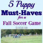 #ad 5 Puppy Must-Haves for a Fall Soccer Game #ProtectFromPetMess #SeasonalSolutions #CollectiveBias