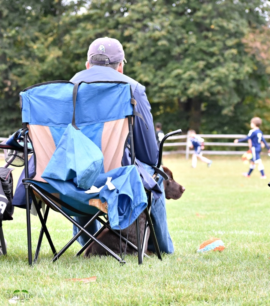 5 Puppy Must-Haves for a Fall Soccer Game