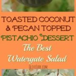 Toasted Coconut and Pecan Topped Pistachio Dessert: The Best Watergate Salad #watergatesalad #retrodessert #jellopistachopudding