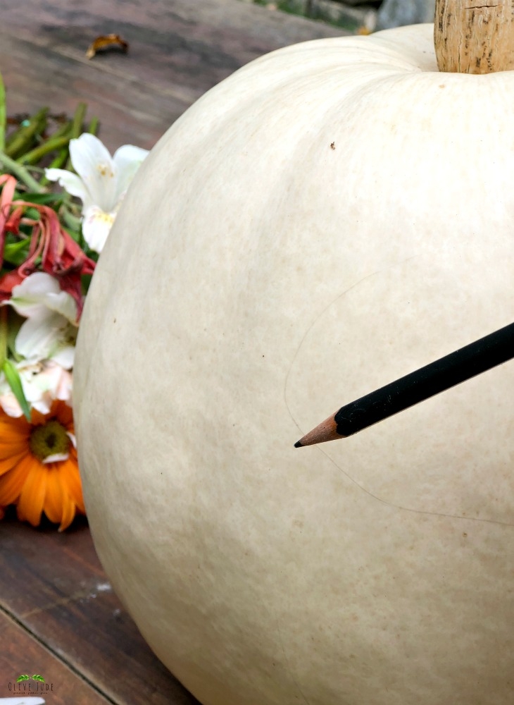 DIY: Blooming Monogrammed Pumpkin #bloomingpumpkin #floralpumpkin #pumpkincenterpiece #monogrammedpumpkin